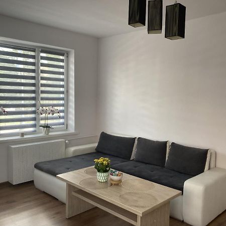 Apartament W Centrum Malborka Exterior foto